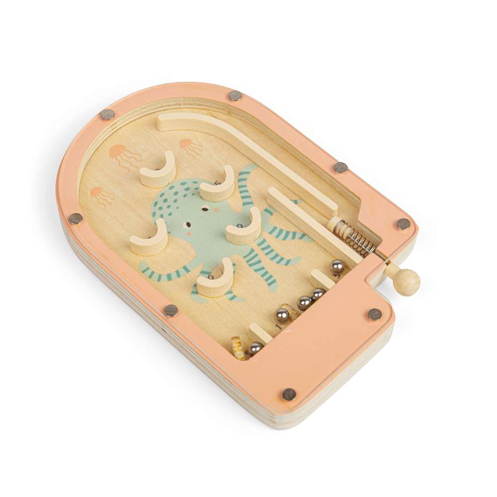 Pinball Game (12)