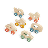 Mini Animal Push Alongs (6)