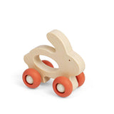 Mini Animal Push Alongs (6)