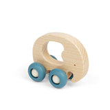 Mini Animal Push Alongs (6)