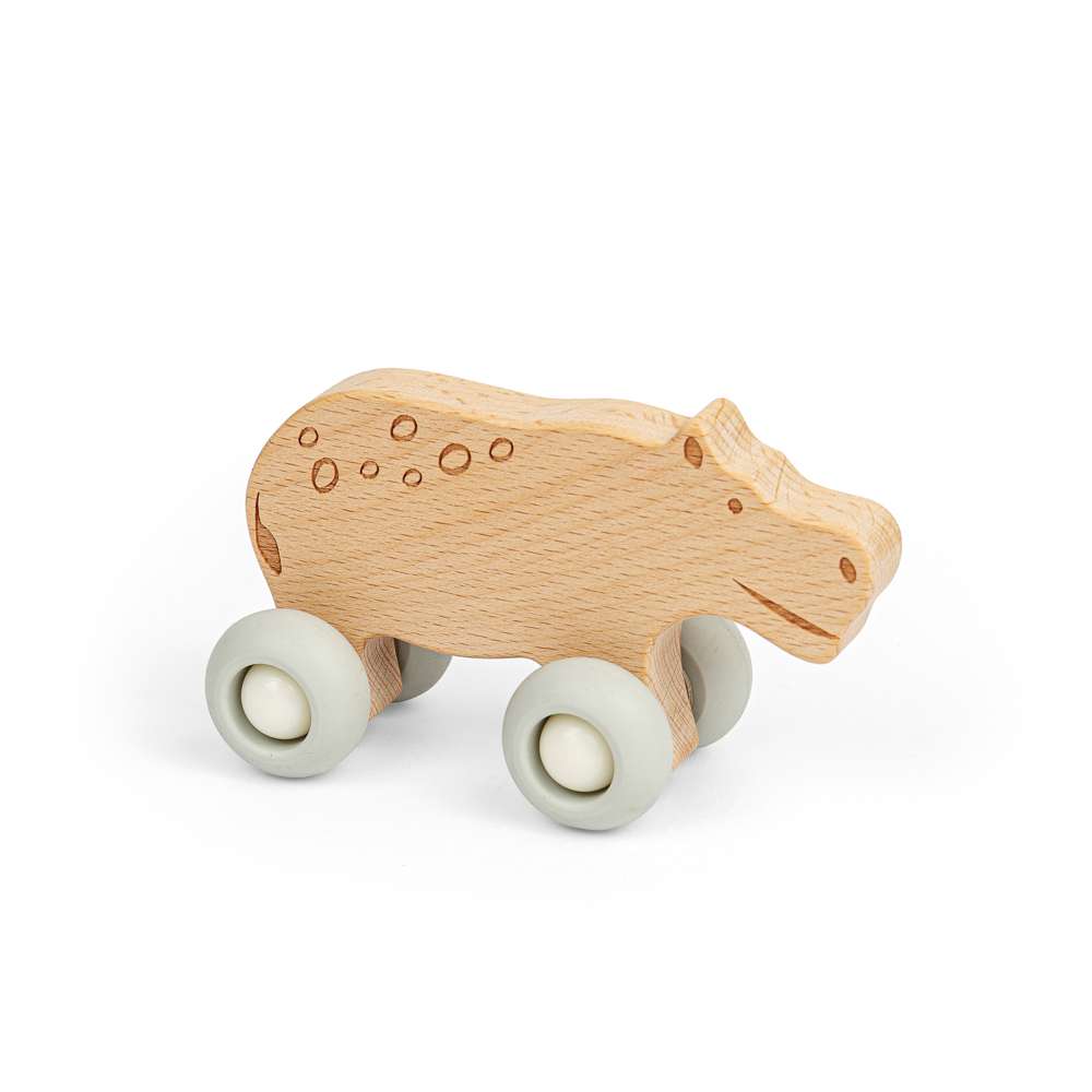 Jungle Animals on Wheels (6)