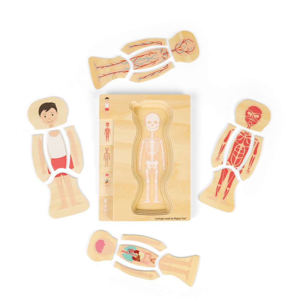 Anatomy Puzzle - Boy