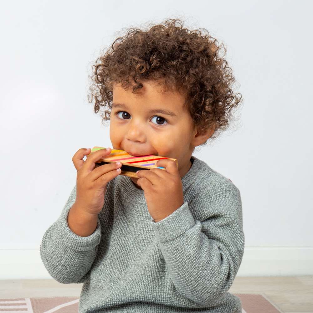 Harmonica (12)