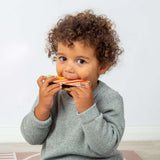 Harmonica (12)