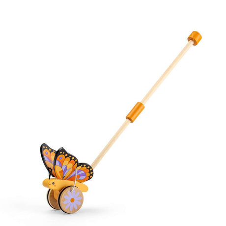 Butterfly Push Along (4)