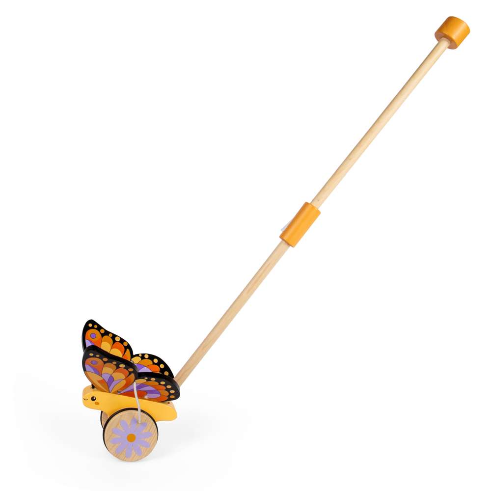 Butterfly Push Along (4)