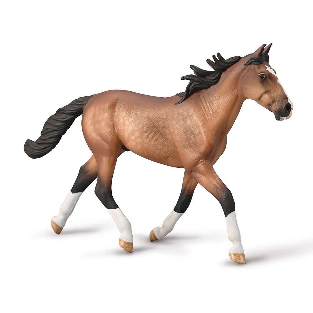 Standardbred Pacer Stallion (Bay)