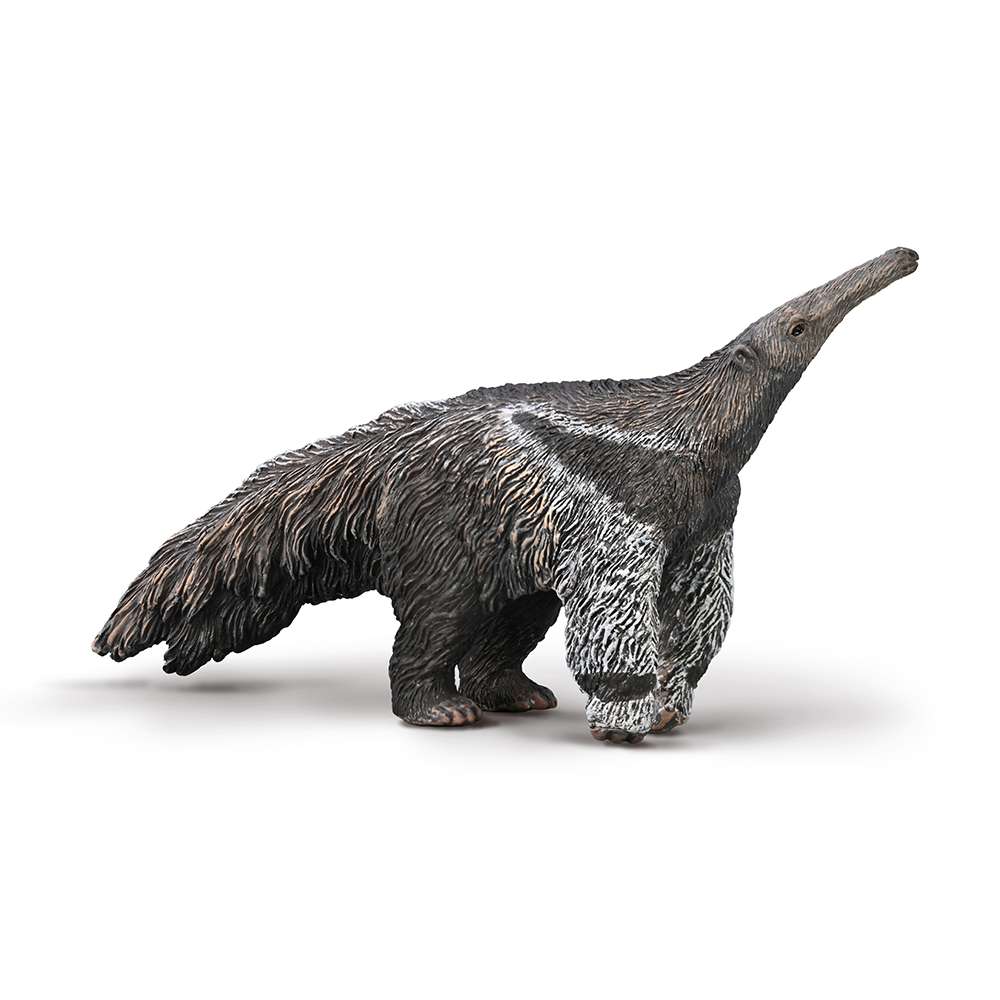 Giant Anteater