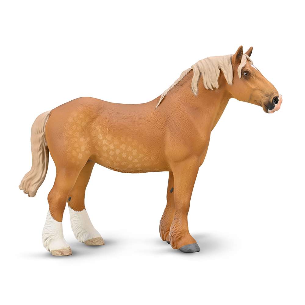 Belgian Mare Sorrel