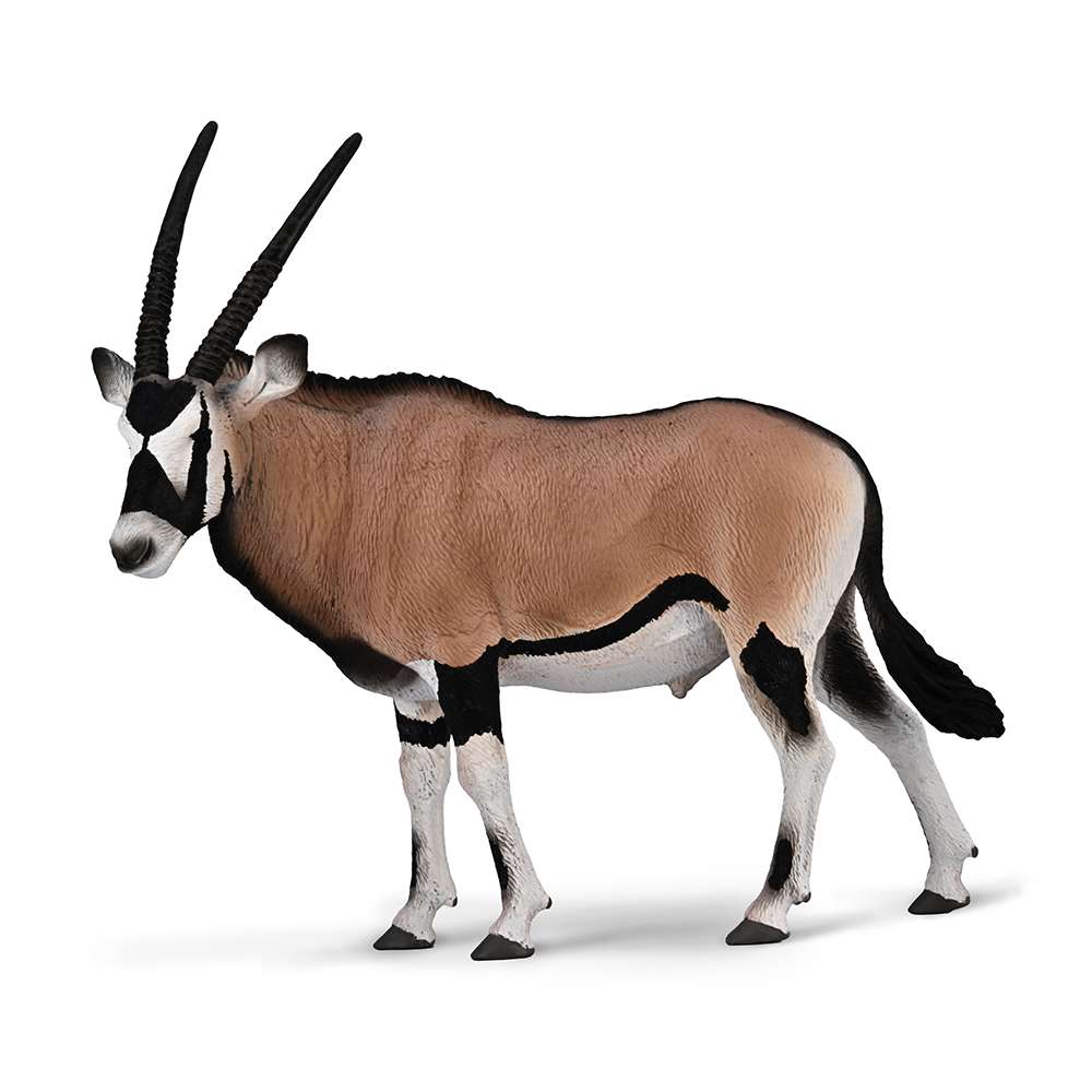 Gemsbok