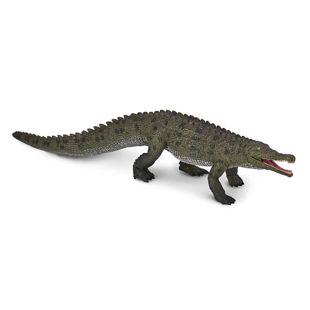 Colossosuchus techniensis with movable jaw - 1:40 Scale