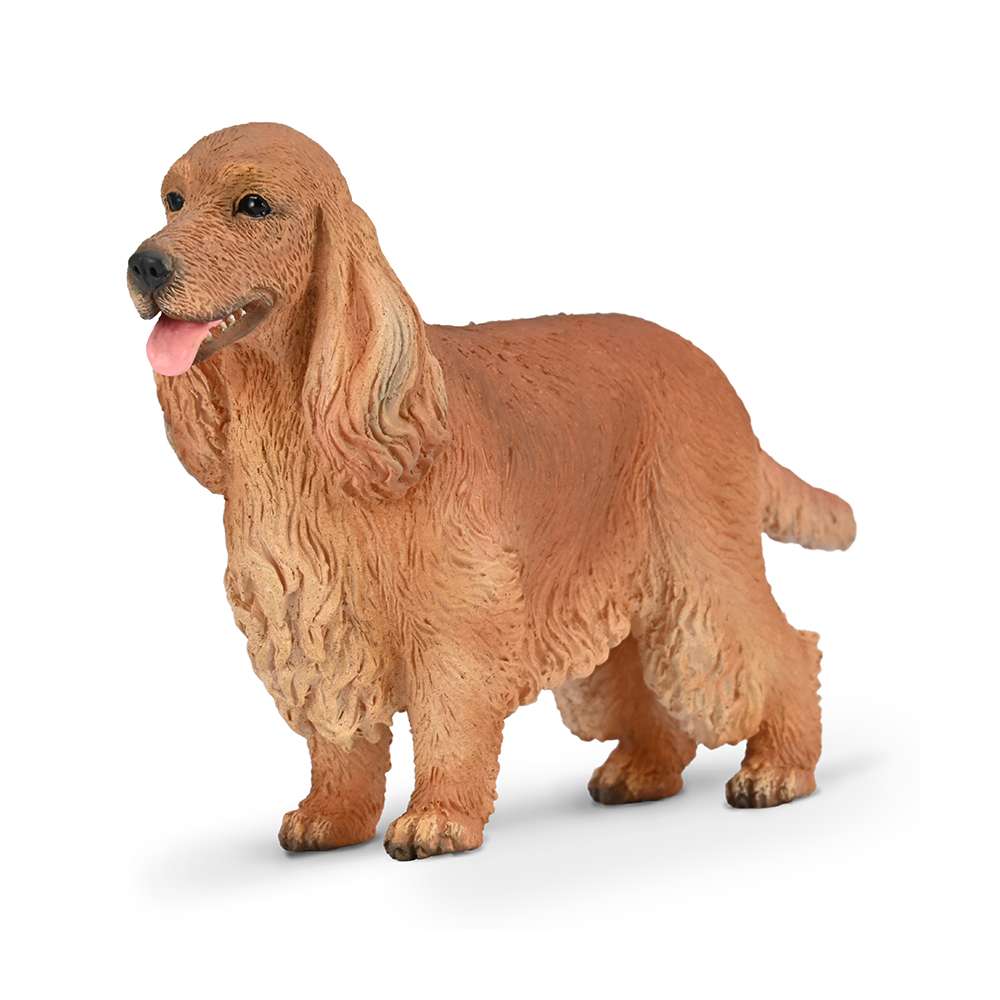English Cocker Spaniel