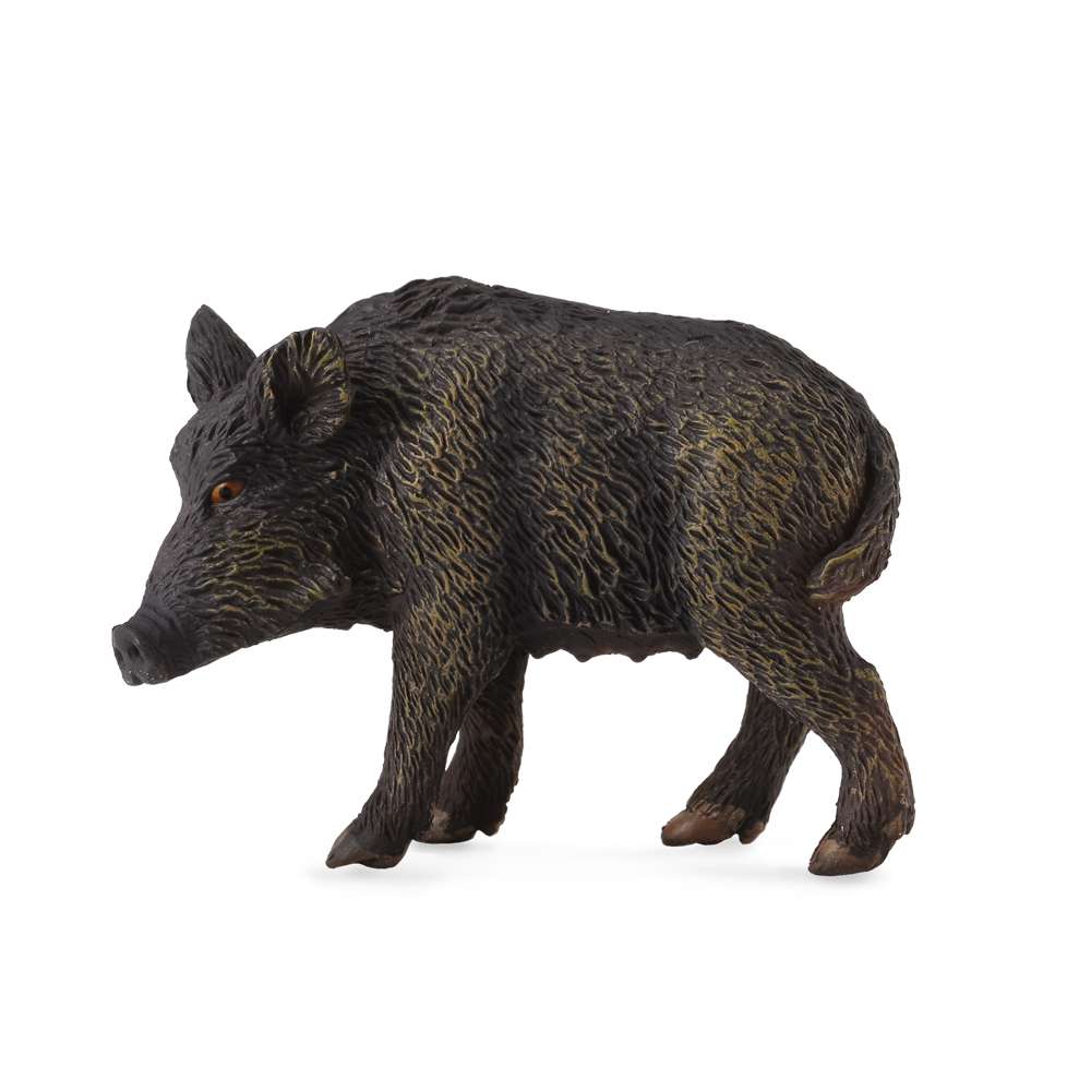 Wild Sow