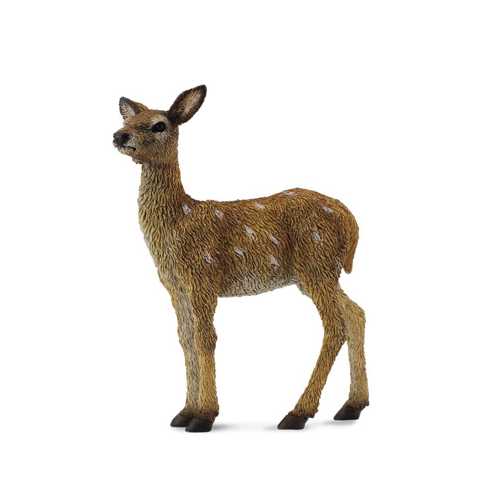 Red Deer Calf