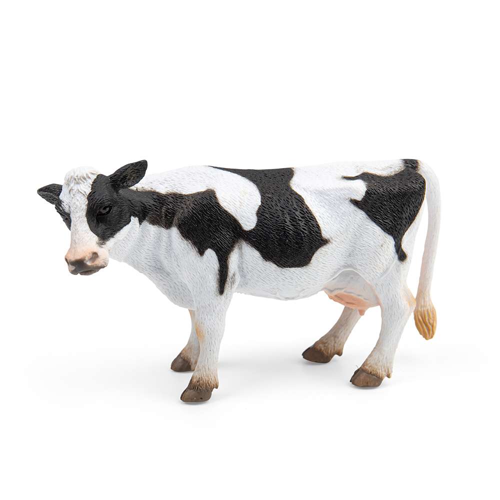 Friesian Cow