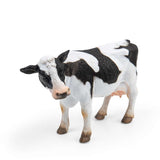 Friesian Cow