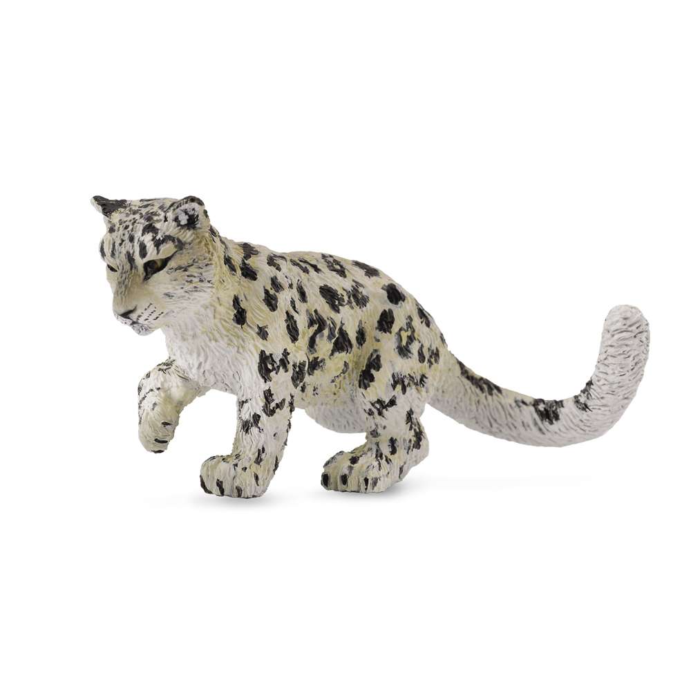 Snow Leopard Cub Playing