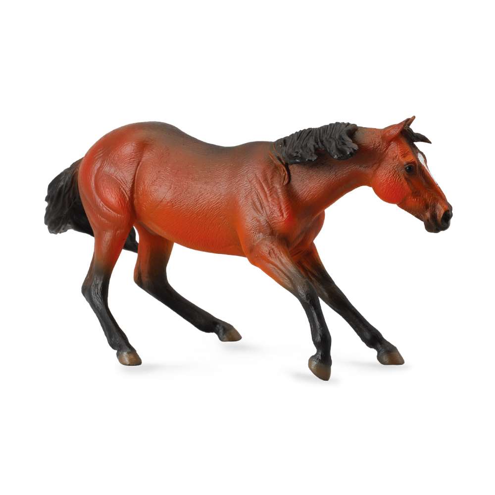 Quarter Horse Bay