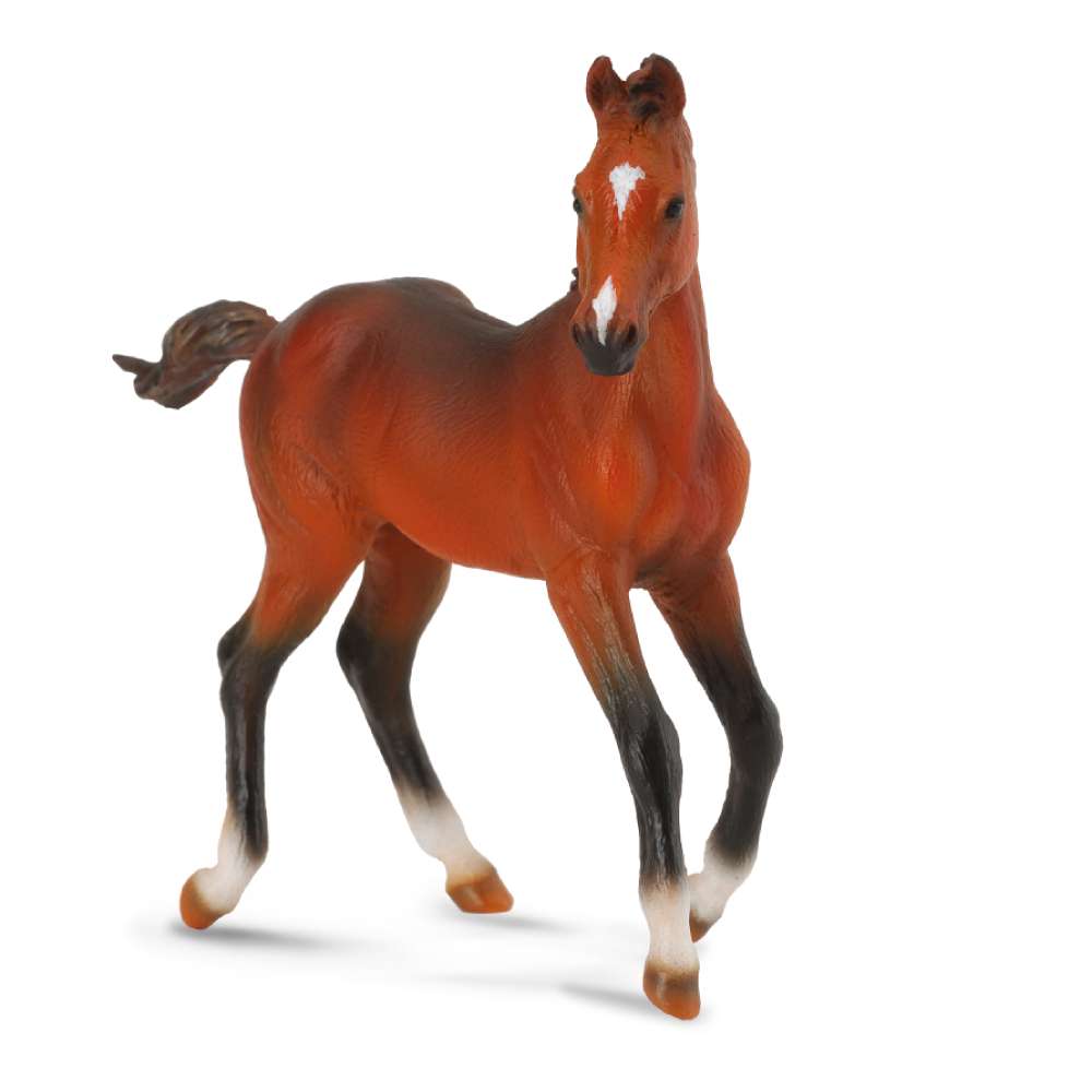 Quarter Horse Foal Bay