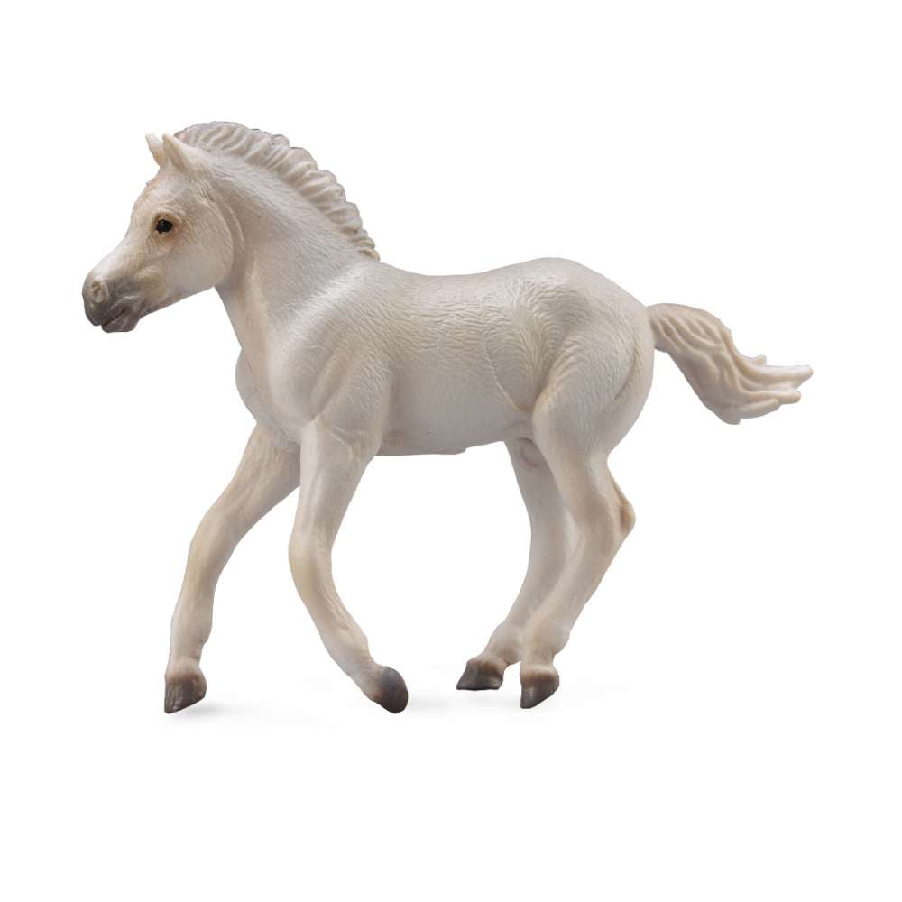 Fjord Foal Grey