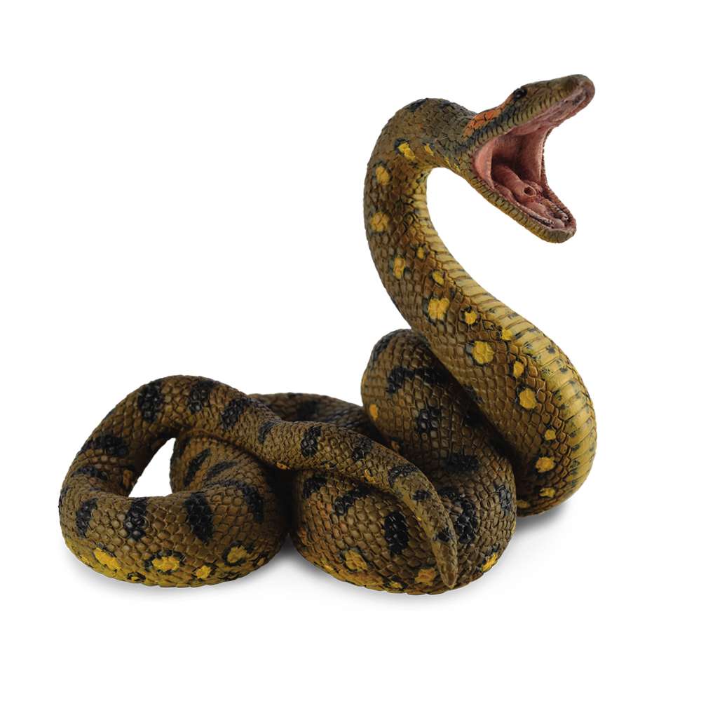 Green Anaconda