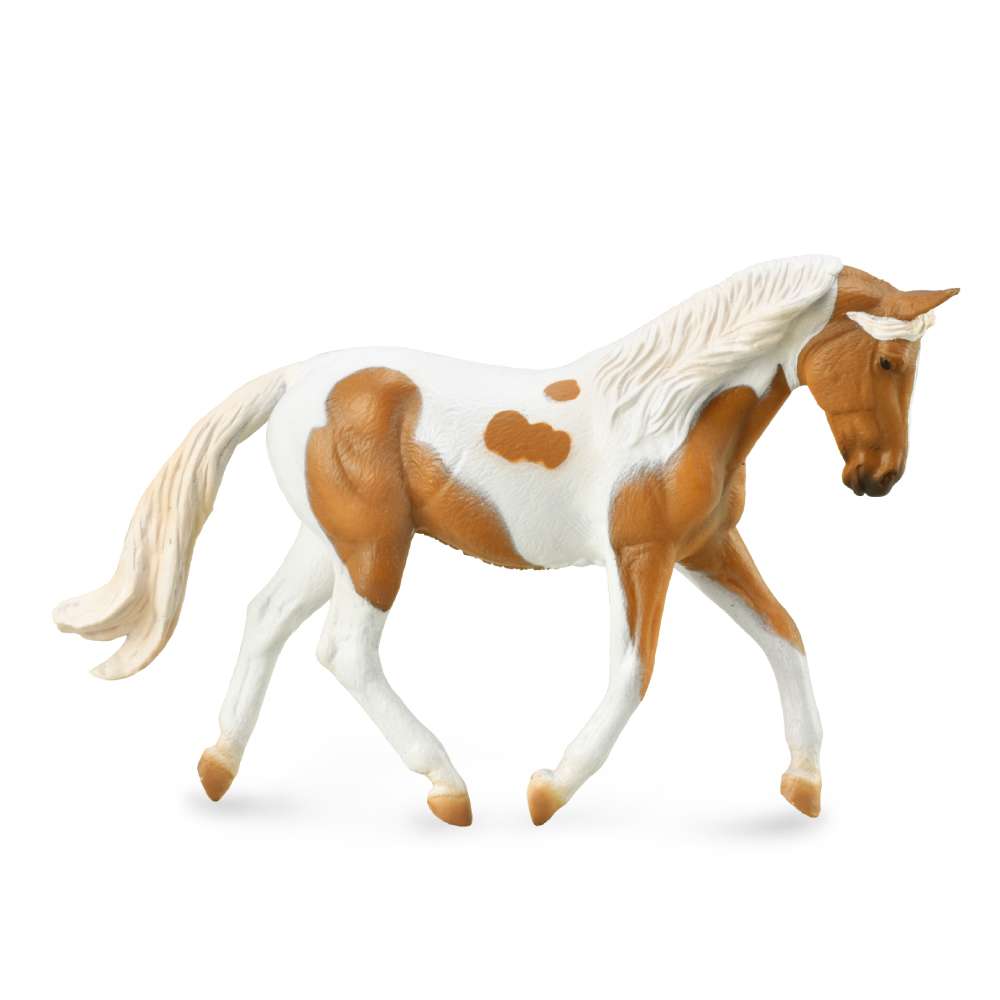 Pinto Mare Palomino