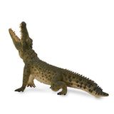 Nile Crocodile Leaping With Movable Jaw