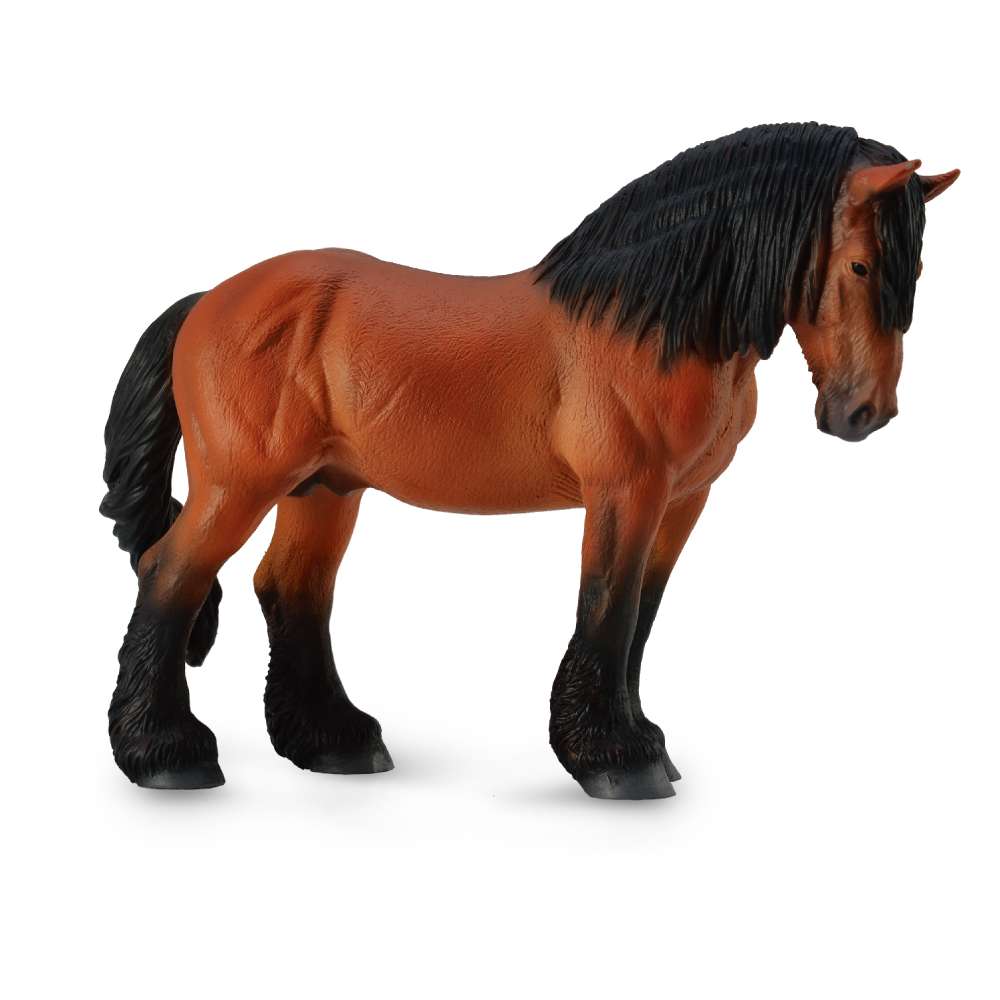 Ardennes Stallion Bay