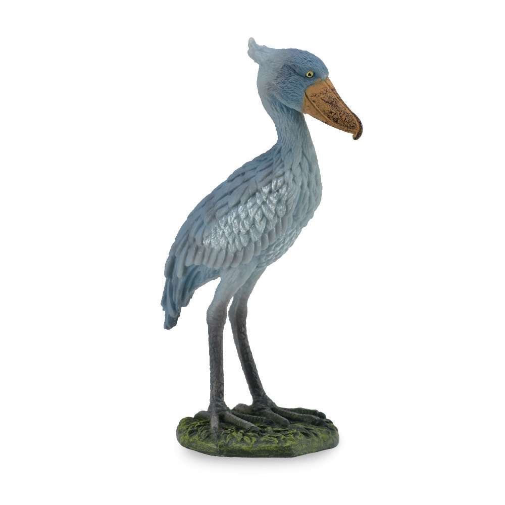 Shoebill