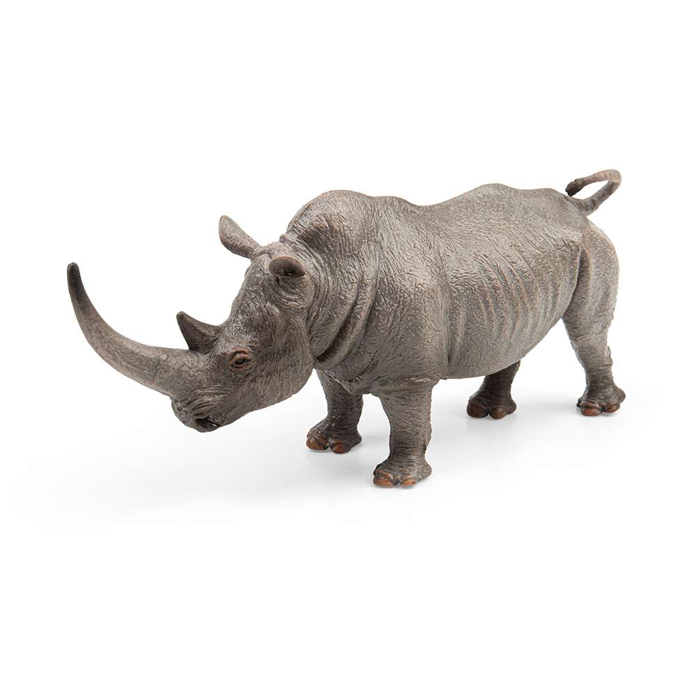 White Rhinoceros
