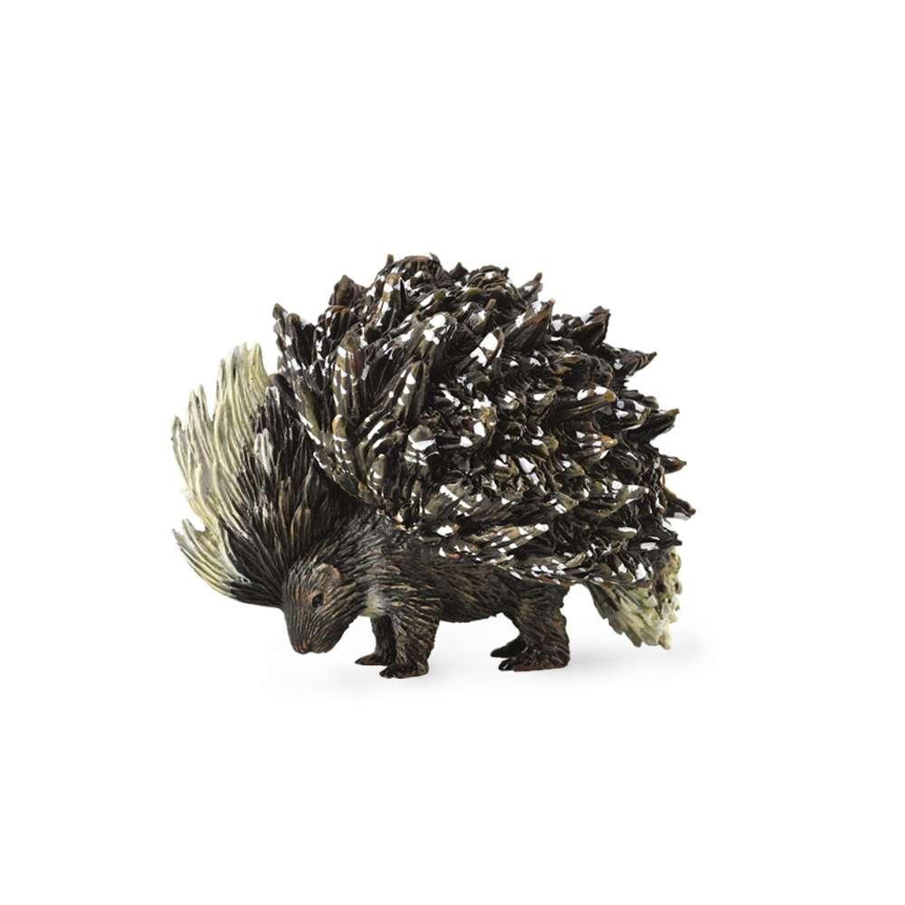 Porcupine (Indian Porcupine)
