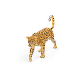 African Leopard