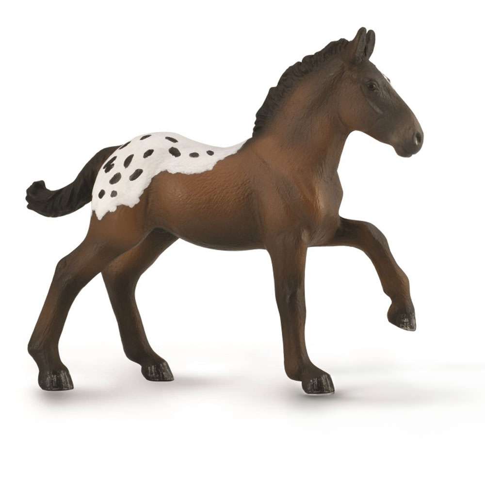 Sugarbush Draft Foal