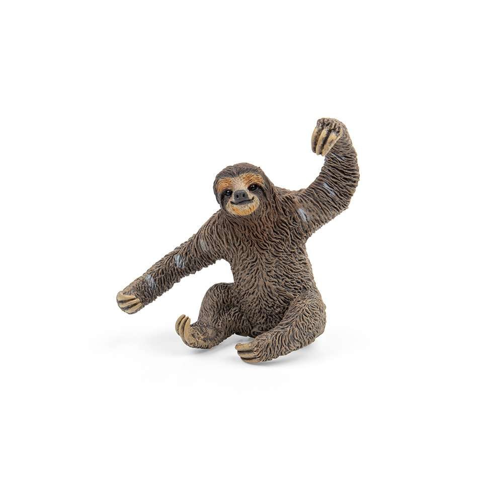 Sloth