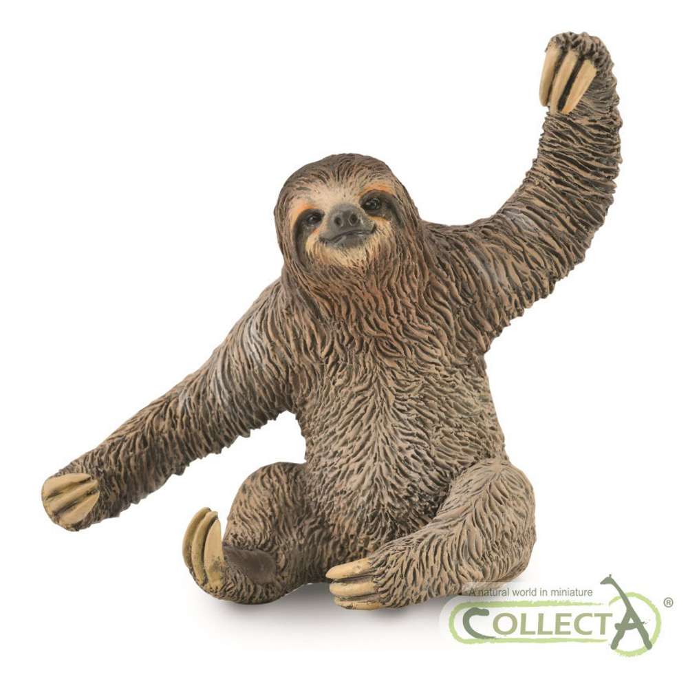 Sloth