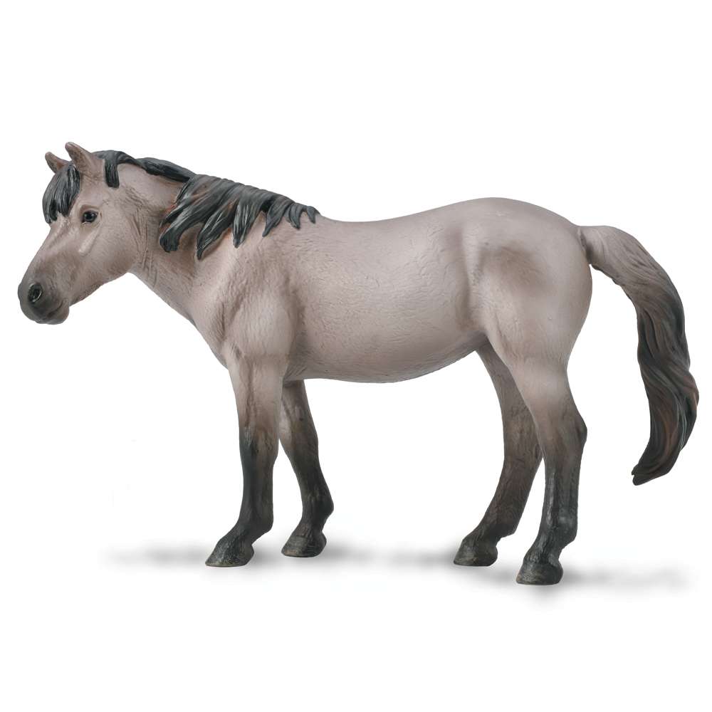 Konik Mare  Blue Dun
