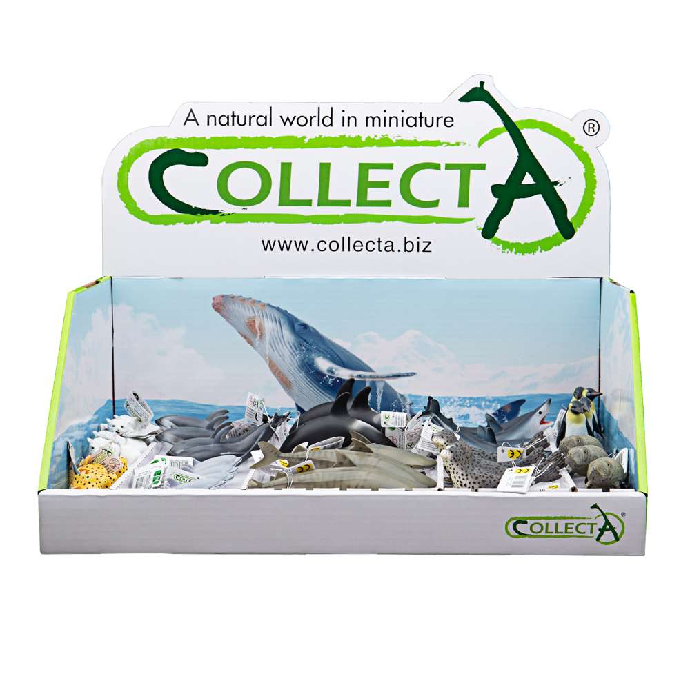 Sealife CDU