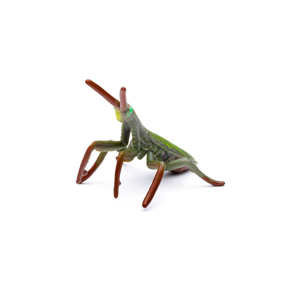 CollectA Box of Mini Insect & Spider