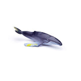 CollectA Box of Mini Sea Animals