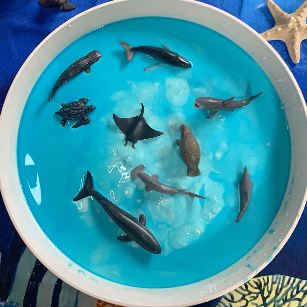 CollectA Box of Mini Sea Animals