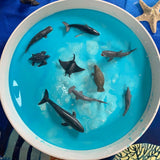 CollectA Box of Mini Sea Animals
