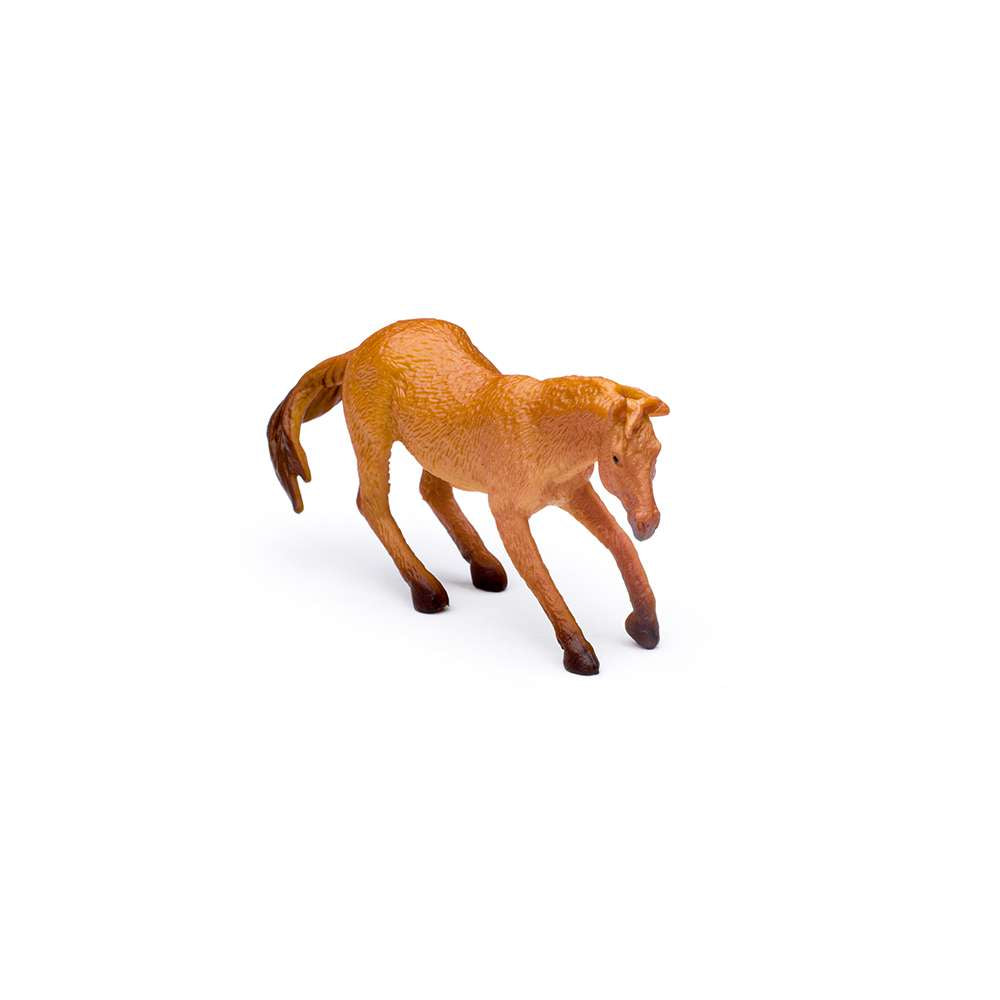 CollectA Box of Mini Horses Box