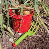 Red Bucket