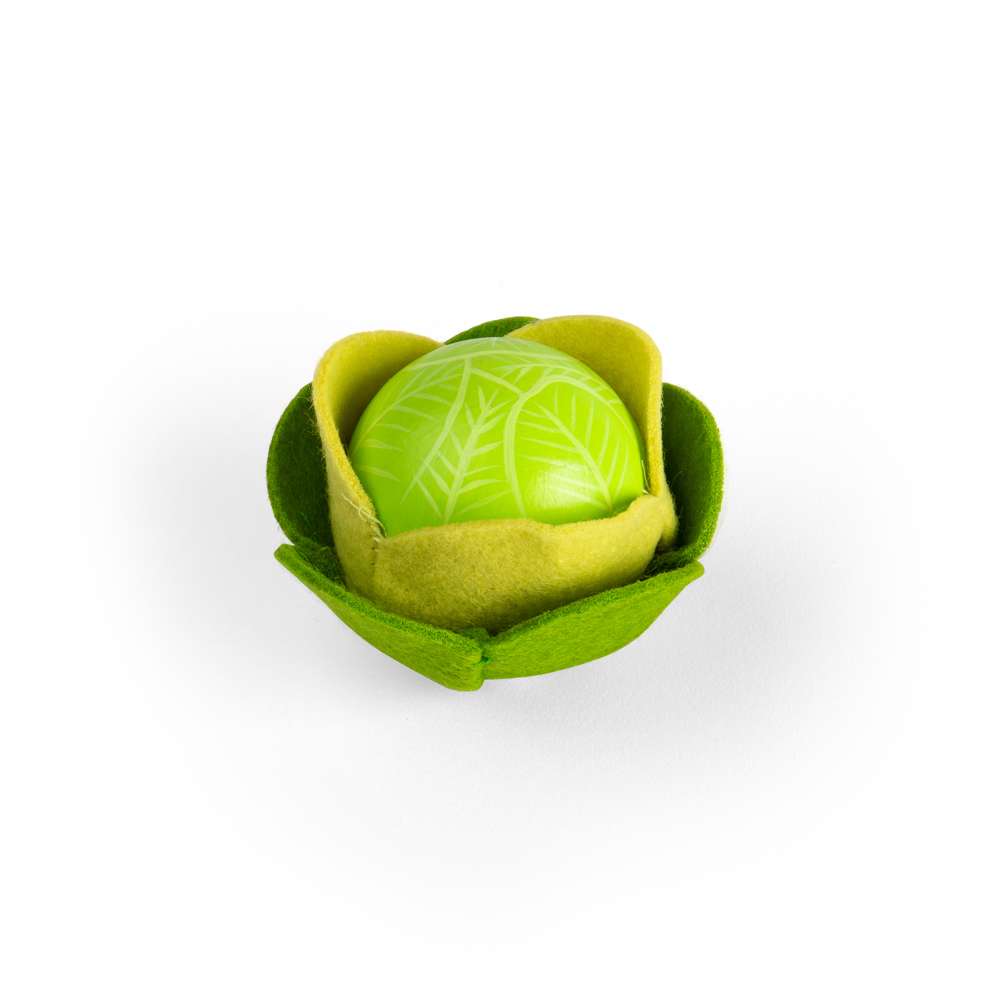 Cabbage (10)
