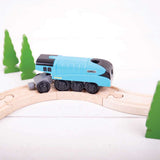 Mallard Battery Operated Engine (4)