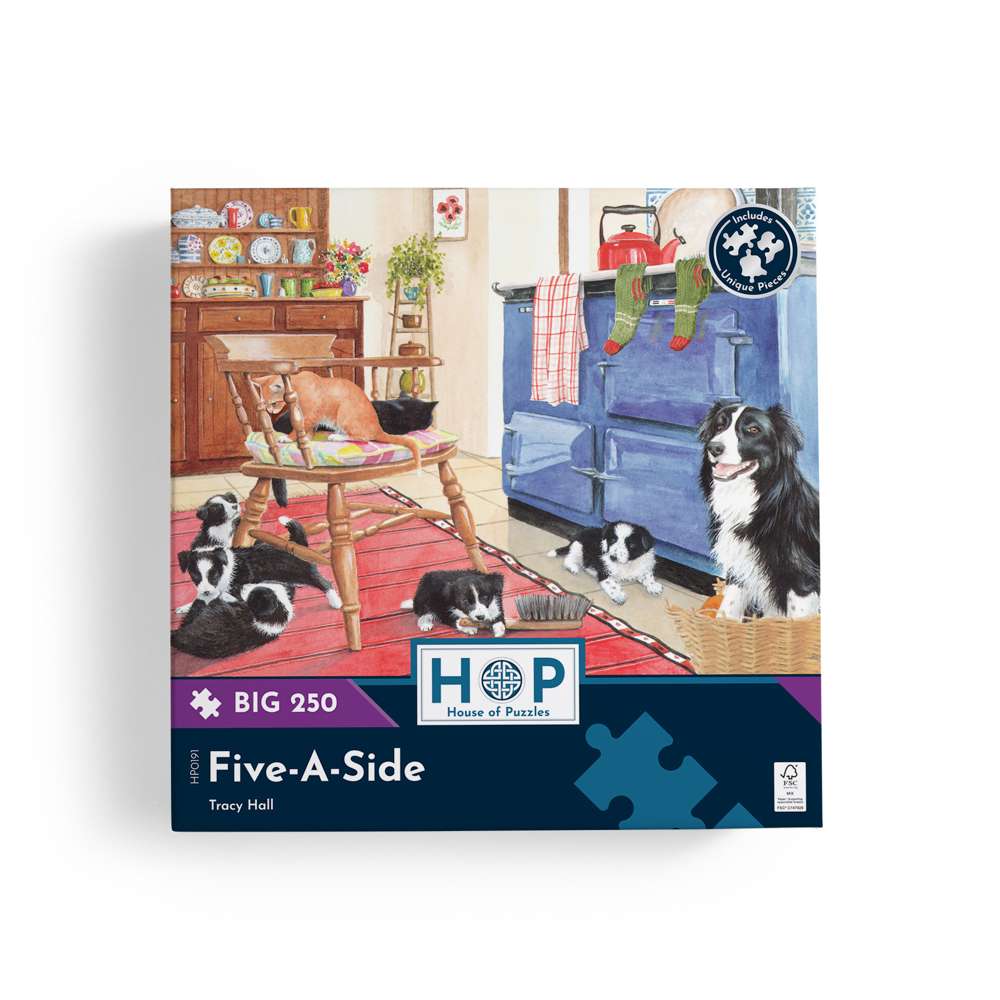 Five-A-Side - BIG 250 Piece Jigsaw Puzzle