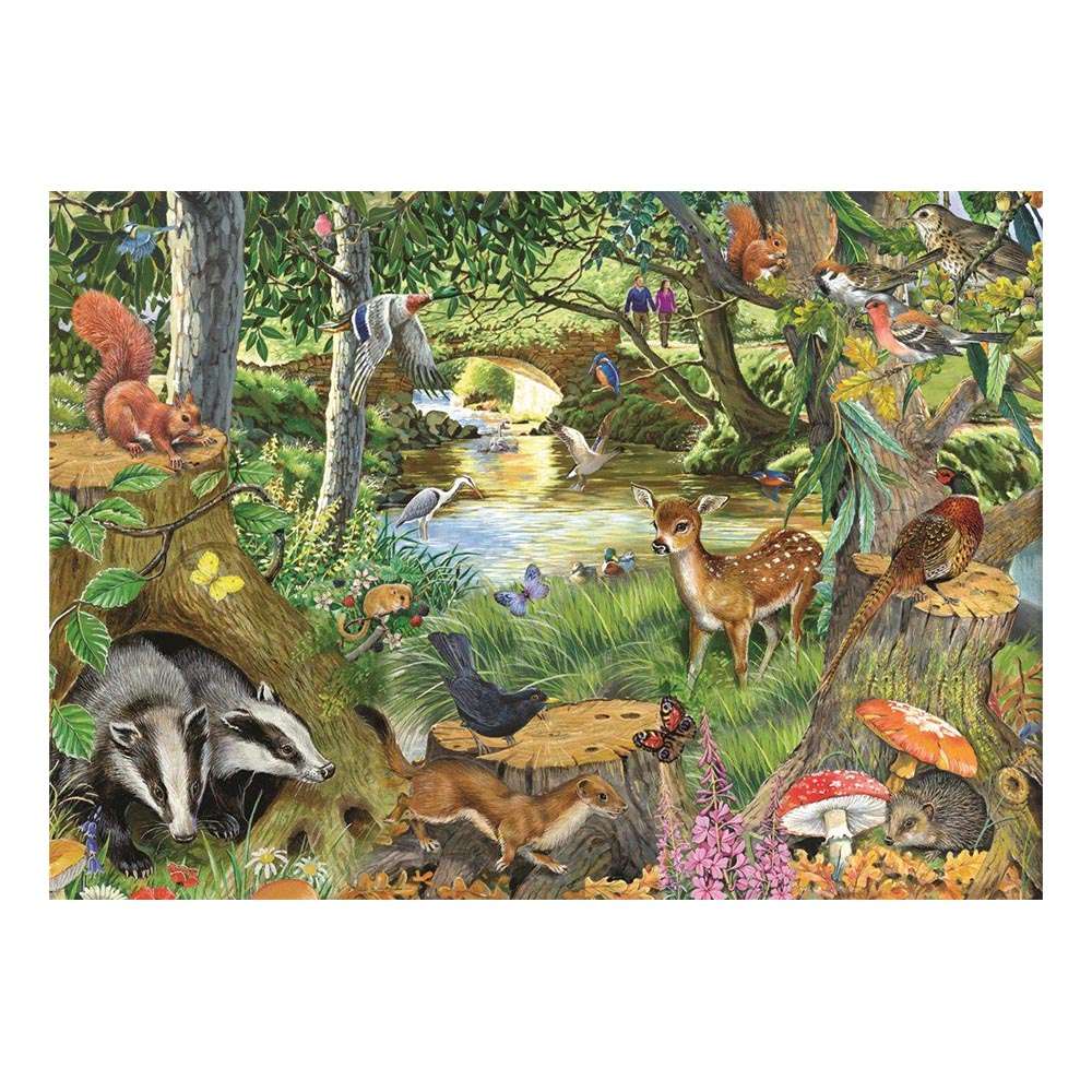 Riverside Glade BIG 500 - Original Packaging