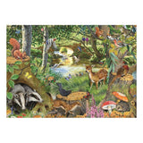 Riverside Glade BIG 500 - Original Packaging