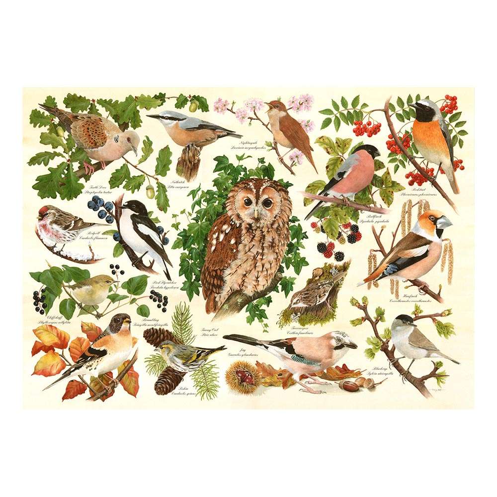 Woodland Birds BIG 500 - Original Packaging