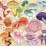 Mushroom Mania Puzzle Tube - 150 Piece (6)